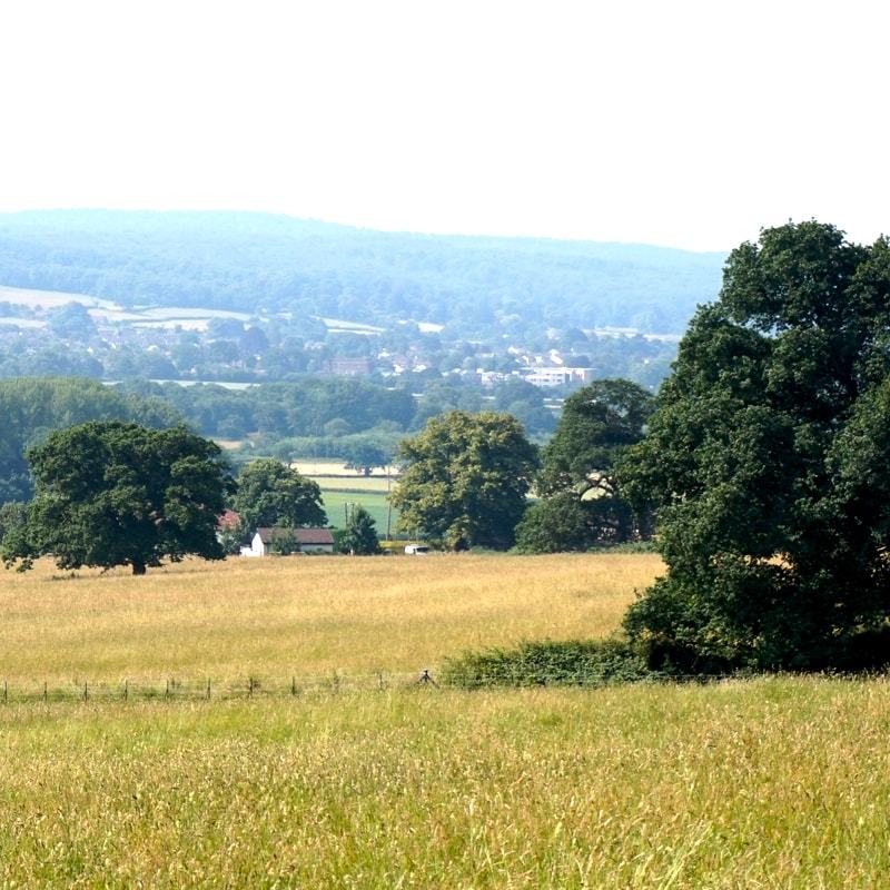 Office Star Legal Solicitors